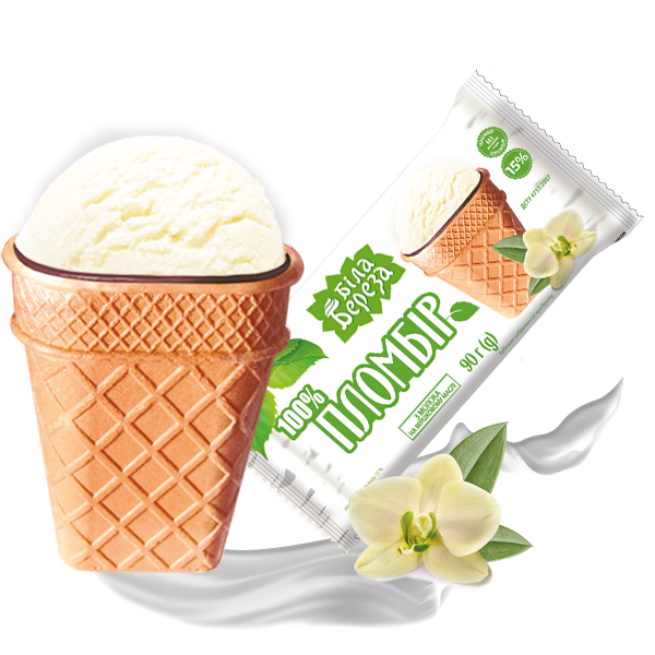 Premium ice cream in a waffle cup